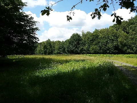 Cr84 Wahnerheide02