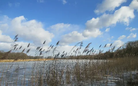 Crassensee