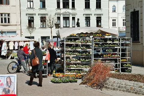 Crimmitschau, Frühlingsmarkt