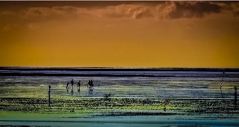 Cuxhaven, Am Muschelgrund (9197662653)