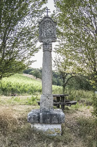 D 6 78 157 35 Bildstock