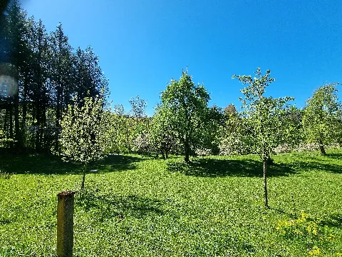 D Bw Kn Hohenfels Burgenweg 13 Beim Hof Knollenkratten