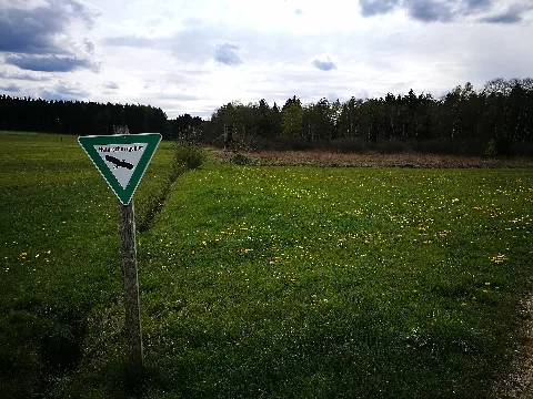 D Bw Kn Hohenfels Naturschutzgebiet 'Waltere Moor' 001