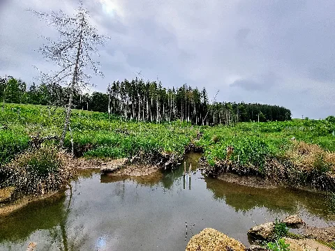 Gerbeweg