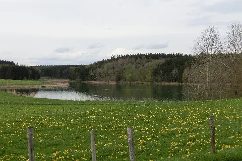 D Bw Ostrach Lausheimer Weiher 001