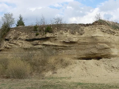 D Bw Sig Hohentengen Sandgrube Gertenstock 001