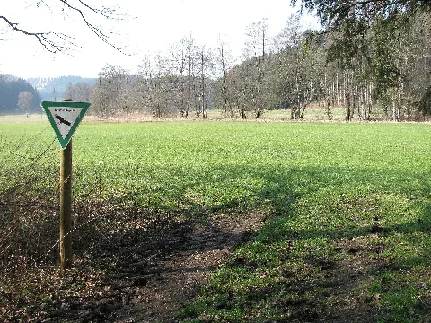 D Bw Tettnang Knellesberger Moos