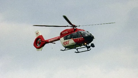 D Hdsg 2