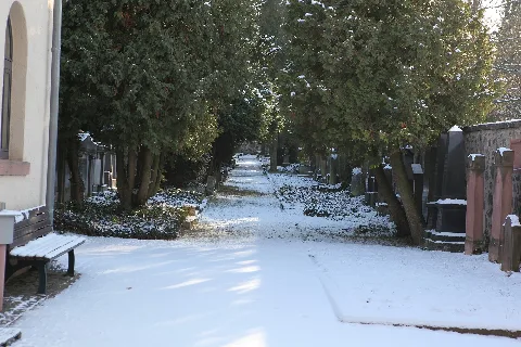Da Jüdischer Friedhof 2
