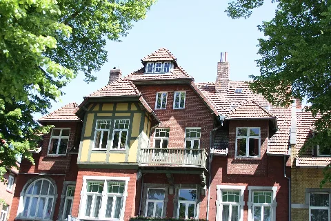 Dachgaube In Lüneburg Skillshare 2010 004