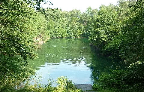 Dachsberger See