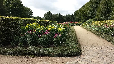 Dahliengarten Altona Eingang Ost 2014 08 24