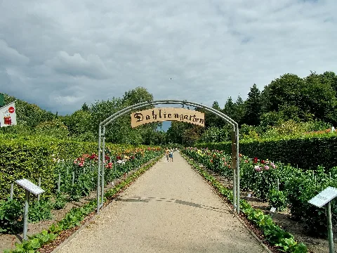 Der Dahliengarten im Altonaer Volkspark in Hamburg-Bahrenfeld. Die ersten Anpflanzungen von Dahlien gab es im Schulgarten des Altonaer Volkspark. Seit 1932 (Info-Tafel) befindet sich der Dahliengarten an der Stadionstraße, verlegt von Ferdinand Tutenberg, der u. a. Geschäftsführer der Deutschen Dahliengesellschaft war und auch schon den Volkspark gestaltete.