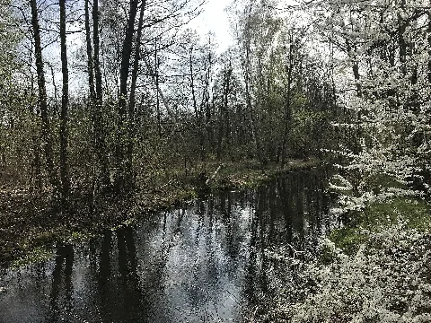 Dahme Radweg Bei Dolgenbrodt