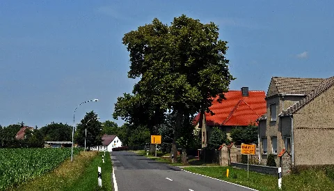Dallmin, Dorfeingang Panoramio