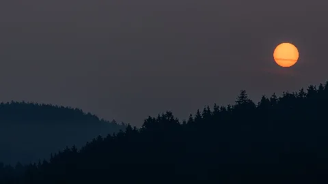 Dark Sunrise (45023948035)