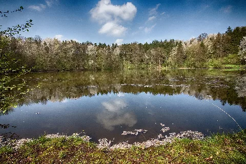 Das Große Seeloch Nahe Großwechsungen Und Kleinwechsungen