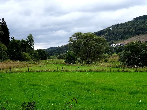 Das Hillebachtal Im Nsg Irrgeister Dsc01487
