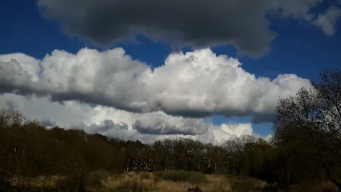 Das Ruschdahlmoor 2