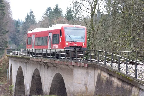 Db Regio Shuttle 650 301 Laufenbach Viadukt