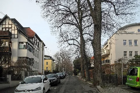 Dd Alexanderstraße
