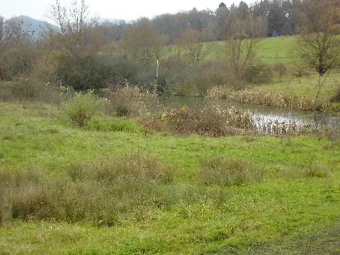 De Bw Rt Nsg Listhof Plattformblick 01