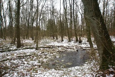 Deepenreiengraben