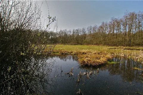 Deepenwischengruepp Diekchen