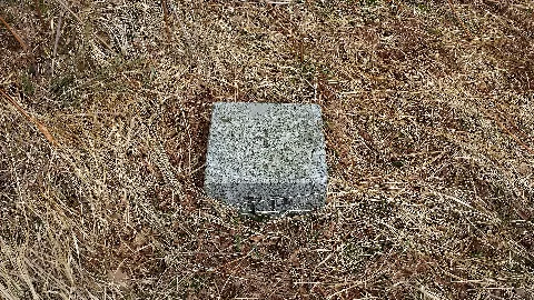 Deister Trig Punkt Kammweg 1 2014