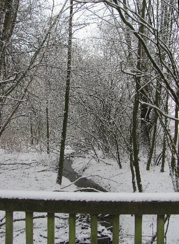 Dellwiger Bach Straße