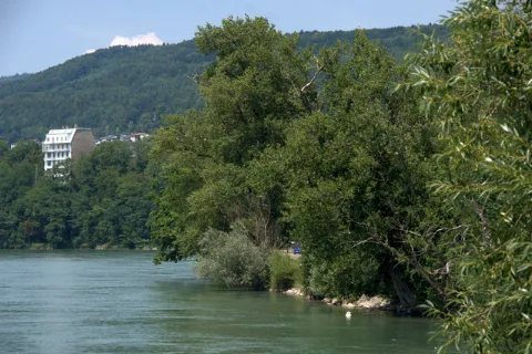 Den Rhein Bei Rhein Camping, Schmittenau Geo En.hlipp.de 12682