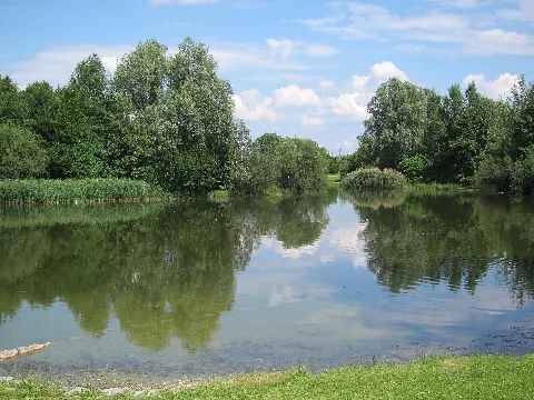 Denninger Weiher Muenchen 01