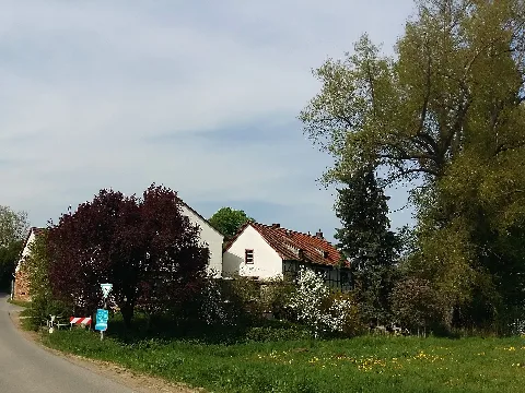 Der Alte Dilshof Mit Dilsbach, Reinheim