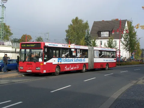 Der Cebus Nach Hambühren