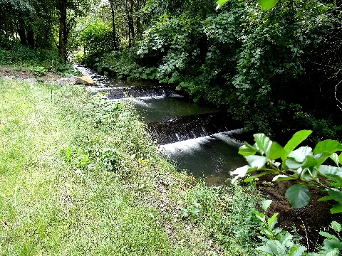 Der Hillebach Kurz Vor Dem See Dsc01464