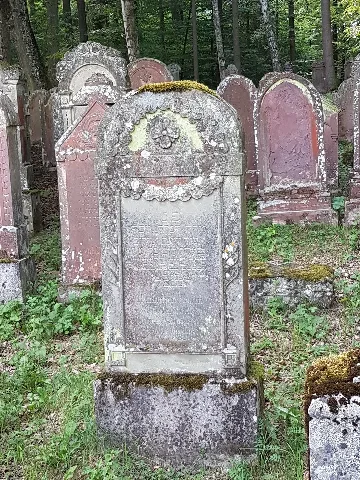Der Jüdische Friedhof In Wenkheim 19