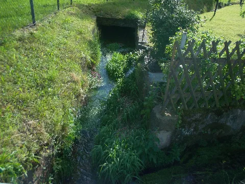 Der Kaltbach In Wehrsdorf (2)