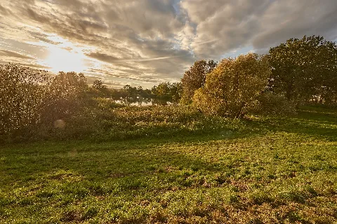 Der Kuhweidenbrack Bei Predöhlsau 3