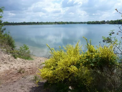 Der Offlumer See Bei Neuenkirchen Geo.hlipp.de 10709
