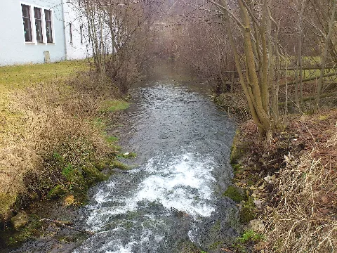 Der Pfeffer (Brenz) Vor Seiner Mündung
