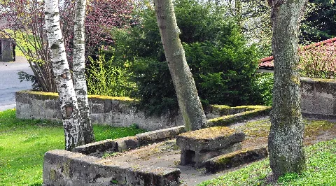 Der Tie In Niedernjesa