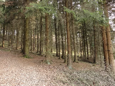 Der Weg Auf Dem Hügel 12.3.2011 Panoramio