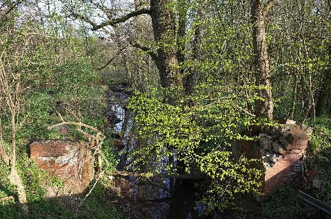 Dessau-Roßlau, Ortsteil Kochstedt. Ehemalige Brücke der Dessau-Radegast-Köthener Bahn (DRKB) am Rand des FFH-Gebiet Brambach und NSG Brambrach.