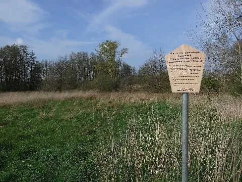 Dessau Roßlau,Mosigkau,Infotafel,Naturdenkmal Neue Teichwiese