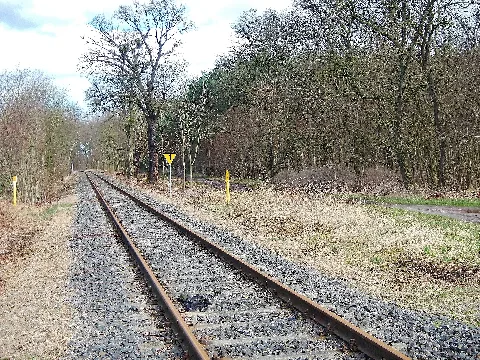 Dessau Wörlitzer Eisenbahn Im Biosphärenreservat Mittlere Elbe Bei Oranienbaum Wörlitz Panoramio (1)