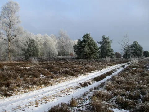 Dethlinger Heide Geo.hlipp.de 31031