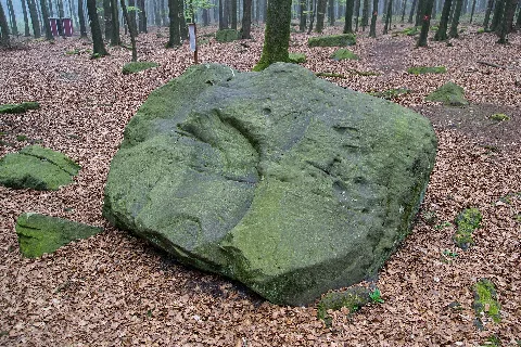 Detmold 2014 04 05 Leistruper Wald Opferstein I (3)