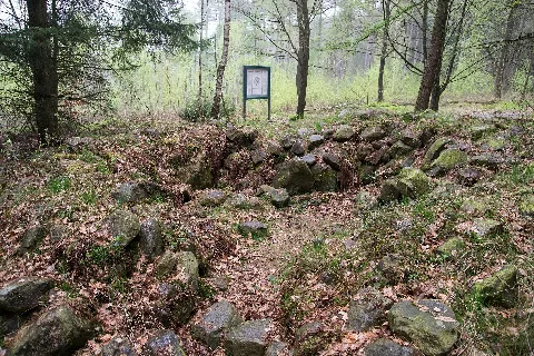 Detmold 2014 04 05 Leistruper Wald Steinhügelgrab (4)