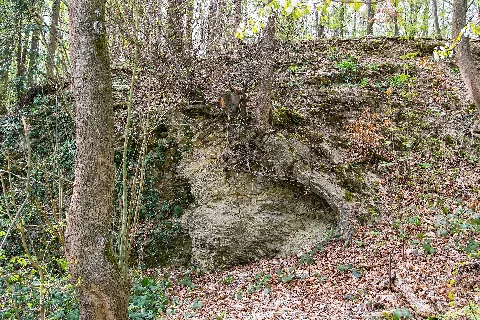 Detmold 2014 04 06 Geologischer Aufschluss Am Schwesternberg (1)