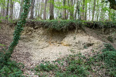 Detmold 2014 04 06 Geologischer Aufschluss Am Schwesternberg (2)